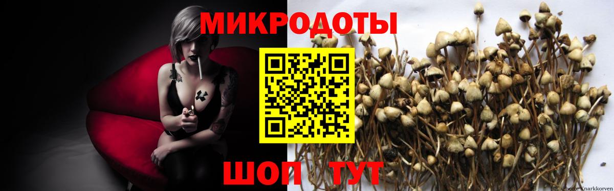 Галлюциногенные грибы ЛСД  как найти   Арзамас  Вход с VPN  Псилоцибиновые грибы мухоморы 